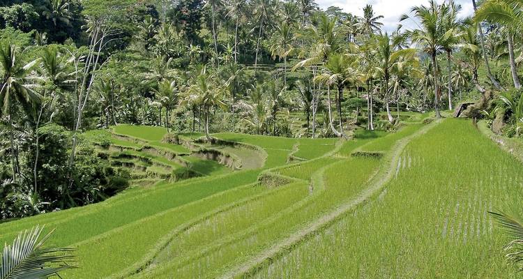 Bali exclusive - MEIERS WELTREISEN 2