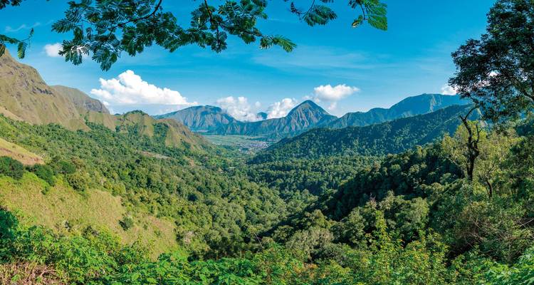 Green valley surrounded by hills and thick forests