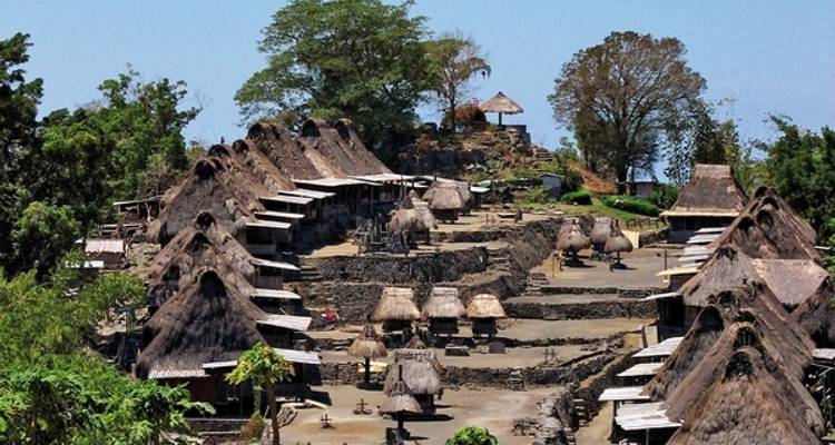 Get to know Komodo & Flores (private tour) - MEIERS WELTREISEN 3