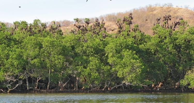 Get to know Komodo & Flores (private tour) - MEIERS WELTREISEN 7