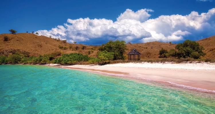 Get to know Komodo & Flores (private tour) - MEIERS WELTREISEN 8