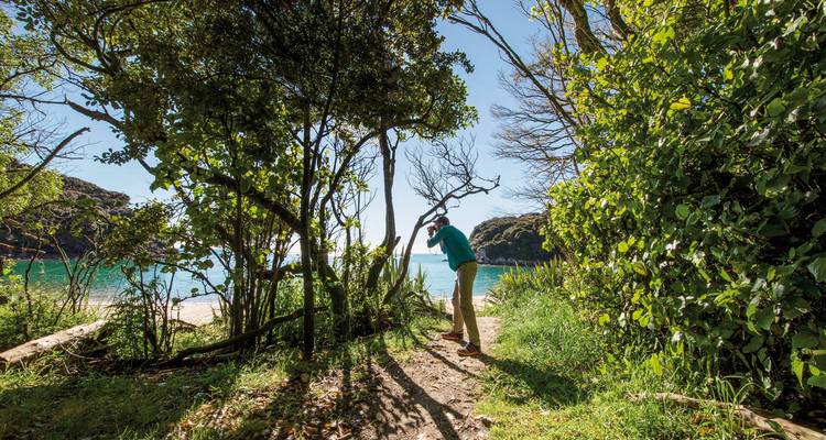 A person with binoculars in a wooded coastal area.
