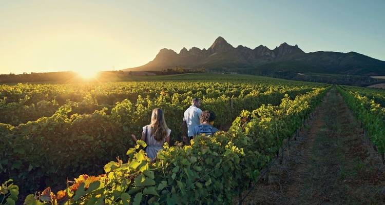 Afrique du Sud à la carte - MEIERS WELTREISEN 6