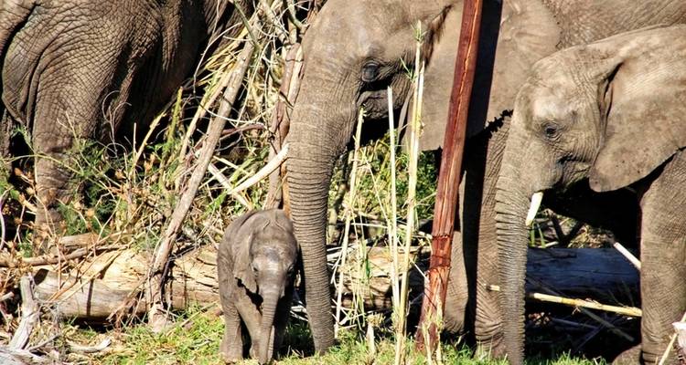 Afrique du Sud à la carte - MEIERS WELTREISEN 10