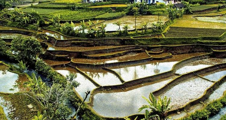 Tesoros de Indonesia (viaje en grupo) - MEIERS WELTREISEN 3