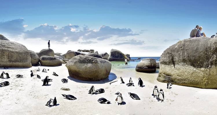 Beach with penguins and large rocks by the sea.