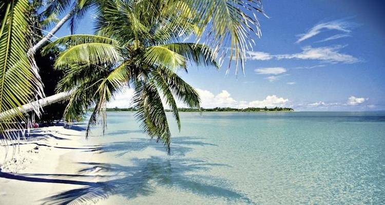 Le meilleur de la Floride - MEIERS WELTREISEN 1