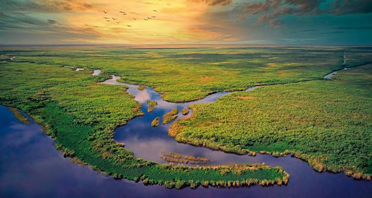 Vue aérienne d'une rivière sinueuse traversant une zone humide luxuriante au coucher du soleil.