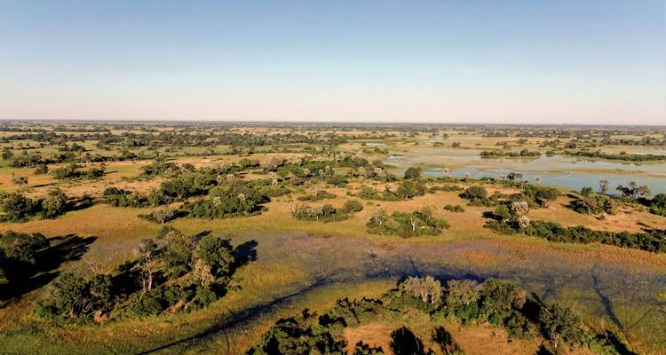 Vue aérienne d'un vaste paysage de savane avec des rivières.