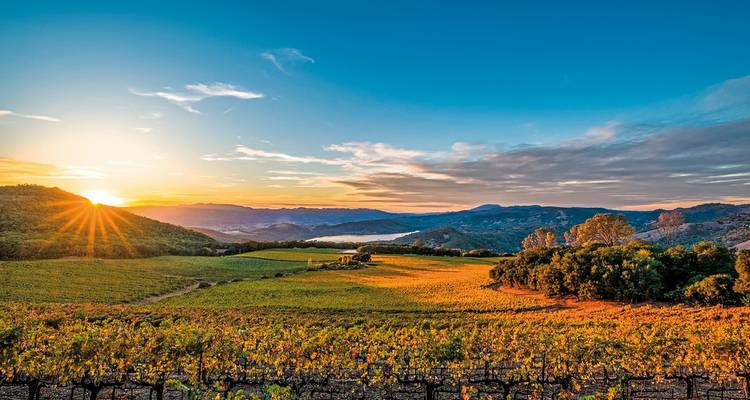 Paisaje pintoresco de viñedo al atardecer