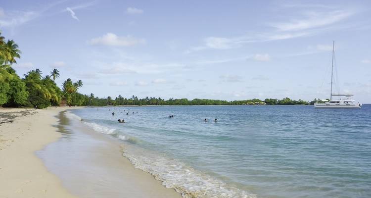 Hotspots under palm trees - MEIERS WELTREISEN 7