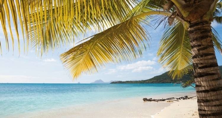 100 % Martinique - L'expérience de l'île aux fleurs - MEIERS WELTREISEN 3