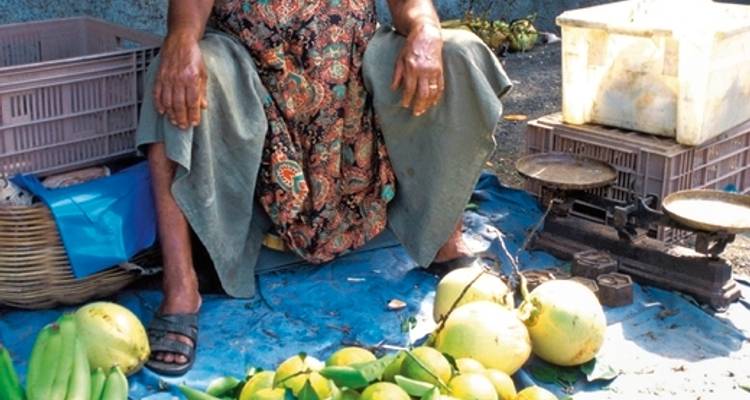 100 % Martinique - L'expérience de l'île aux fleurs - MEIERS WELTREISEN 9