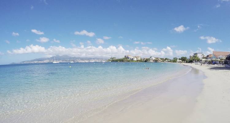 100% Martinique - the flower island experience - MEIERS WELTREISEN 3