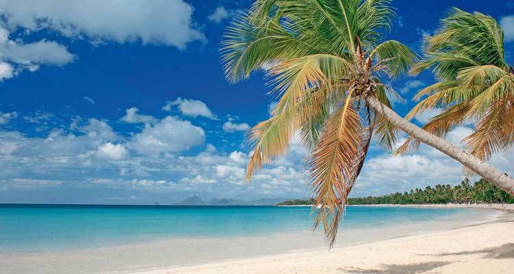 100% Martinique - the flower island experience - MEIERS WELTREISEN 6