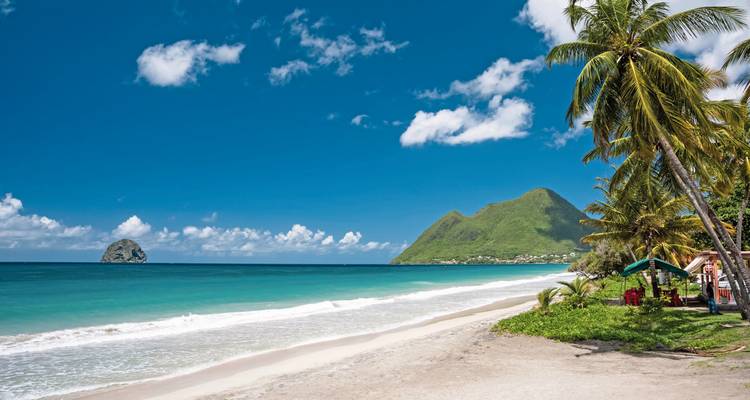 Tropischer Strand mit Palmen und Bergen im Hintergrund.