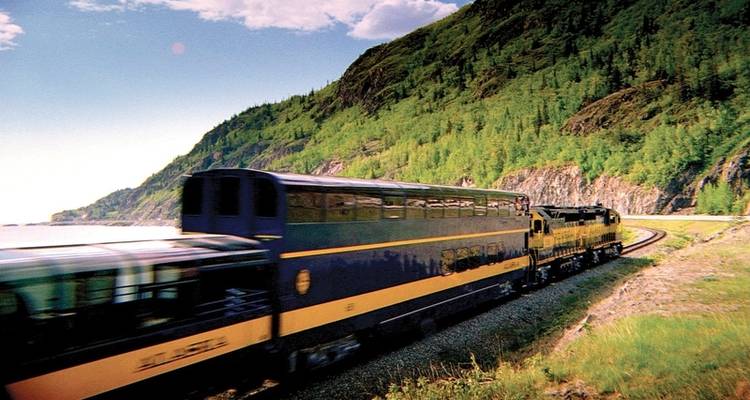 Denali Discovery train journey - MEIERS WELTREISEN 1