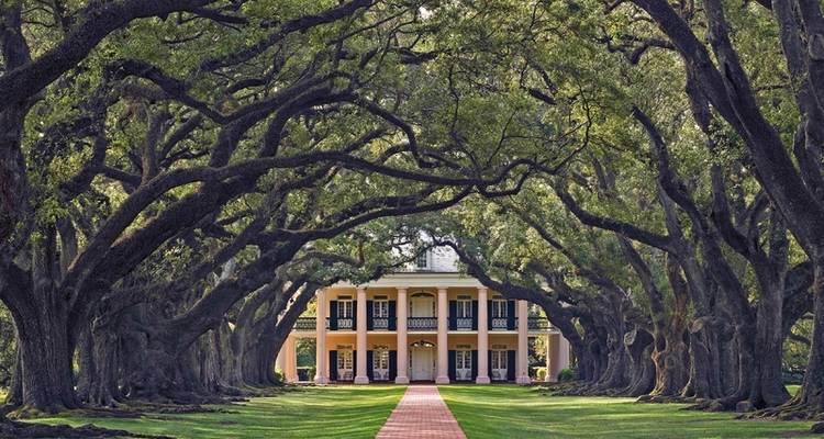Dreams of the Southern US States - MEIERS WELTREISEN 2