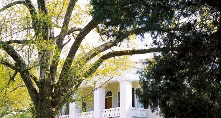 Dreams of the Southern US States - MEIERS WELTREISEN 8