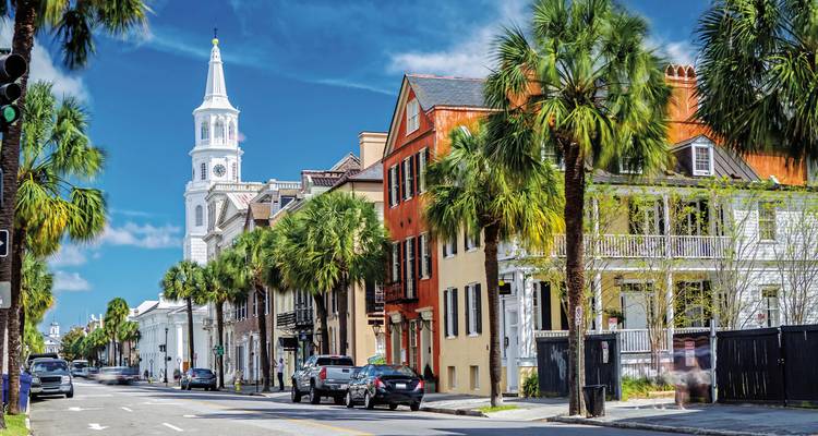 A street view with palm trees and historic buildings.