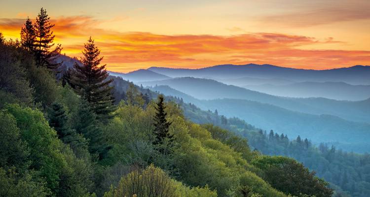 Levendige zonsondergang boven lagen mistige bergen en dicht bos.