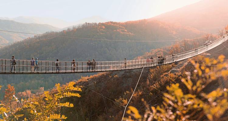 Hangbrug met mensen, tegen een bergachtige achtergrond.