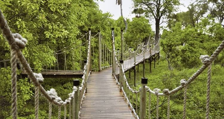 Botswana en exclusivité avec Sanctuary Retreats - MEIERS WELTREISEN 10