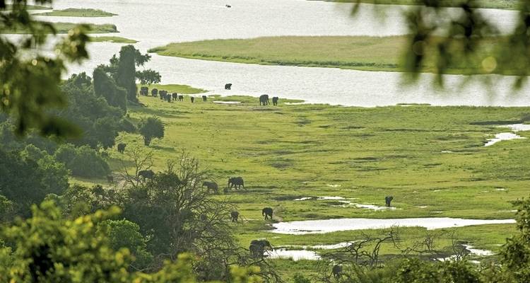 Botswana Exclusive with Sanctuary Retreats - MEIERS WELTREISEN 9