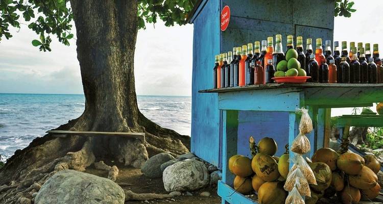 Jamaica's colorful diversity - MEIERS WELTREISEN 8