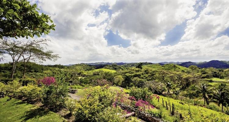 Jamaica's colorful diversity - MEIERS WELTREISEN 2