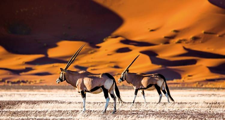 Namibia rich in contrast - MEIERS WELTREISEN 5