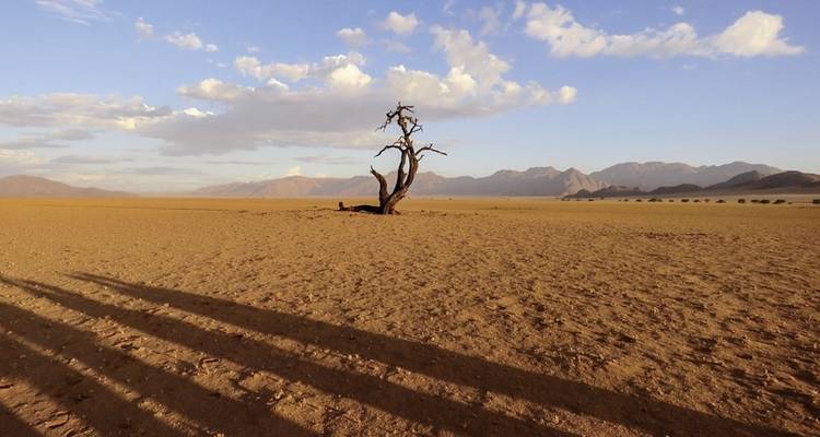 Namibia rich in contrast - MEIERS WELTREISEN 2