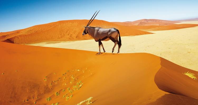 Namibia rich in contrast - MEIERS WELTREISEN 3