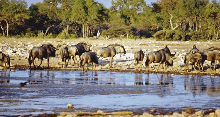 Namibia rich in contrast - MEIERS WELTREISEN 10