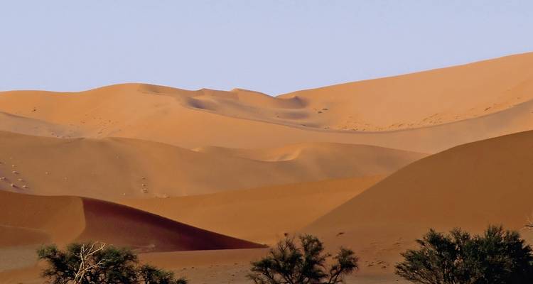 Rolling sand dunes with small trees in the foreground.