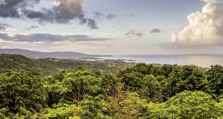 Vue aérienne de végétation luxuriante et d'eaux côtières.