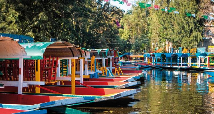 Colorful canal boats in a tree-lined waterway