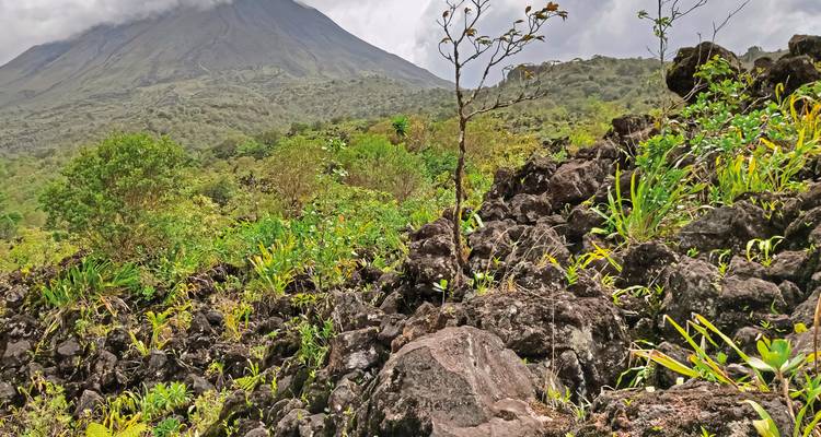 Lava rocks and greenery with Arenal Volcano in the background.