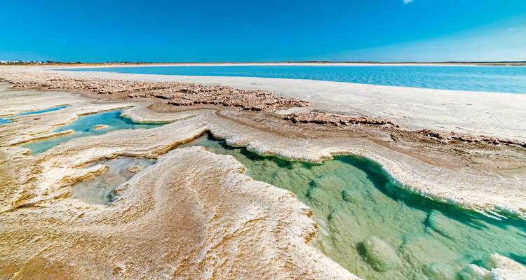 Salt flats with clear blue pools and vibrant landscape.
