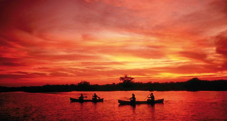 Silhouettes of people canoeing at sunset.