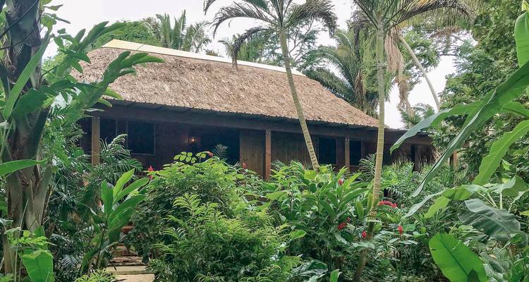 Lodge surrounded by tropical vegetation.