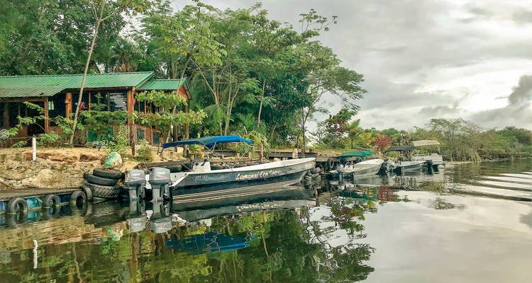 Boats docked along a river with lush greenery.