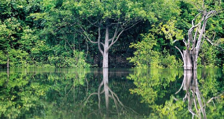 Samba, Fiebre del oro y Amazonas - MEIERS WELTREISEN 3