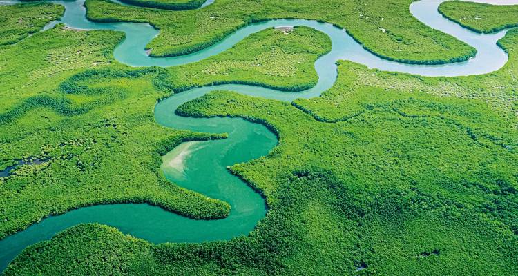 Samba, Fiebre del oro y Amazonas - MEIERS WELTREISEN 7