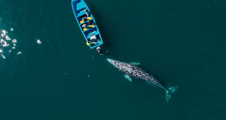 Self Drive in Baja California - MEIERS WELTREISEN 10
