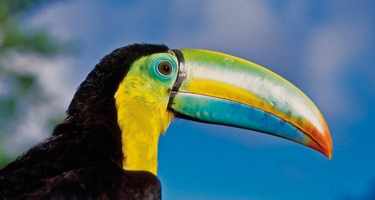 Highlights of Costa Rica 13 nights) - MEIERS WELTREISEN 4