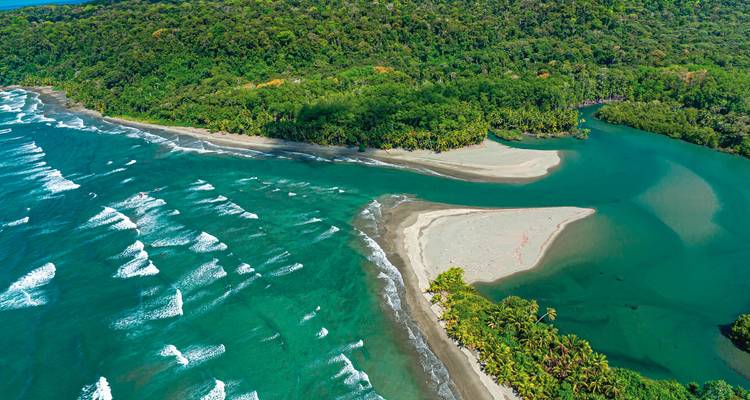 Aerial view of a coastline with waves and greenery.