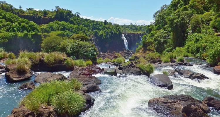 Rauschende Gewässer an den Iguazu-Fällen inmitten dichter Wälder.