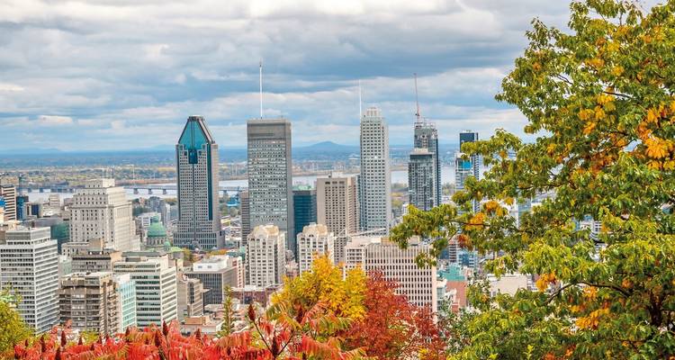 Horizon urbain avec feuillage d'automne au premier plan.