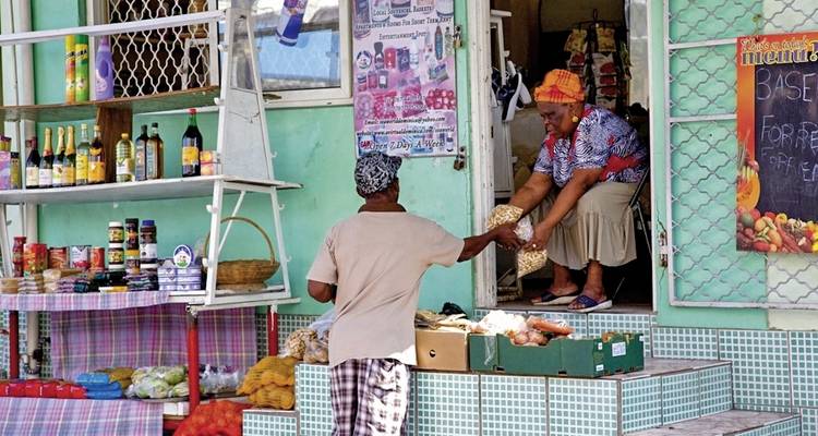 100% Dominica - Island for explorers - MEIERS WELTREISEN 7